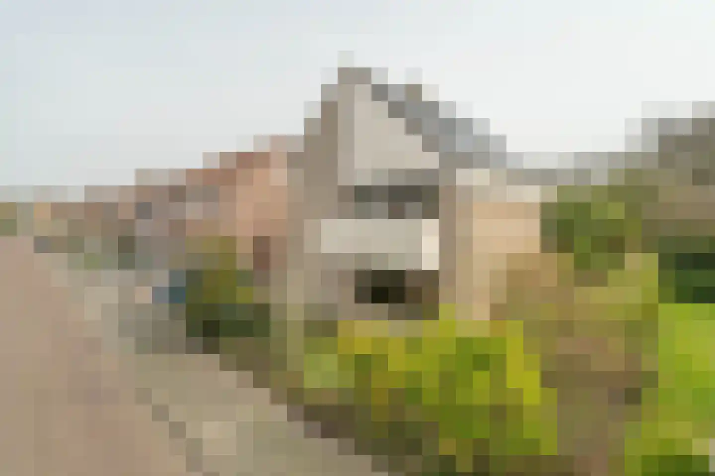 Braillestraat 7 Kruiningen thumbnail 5