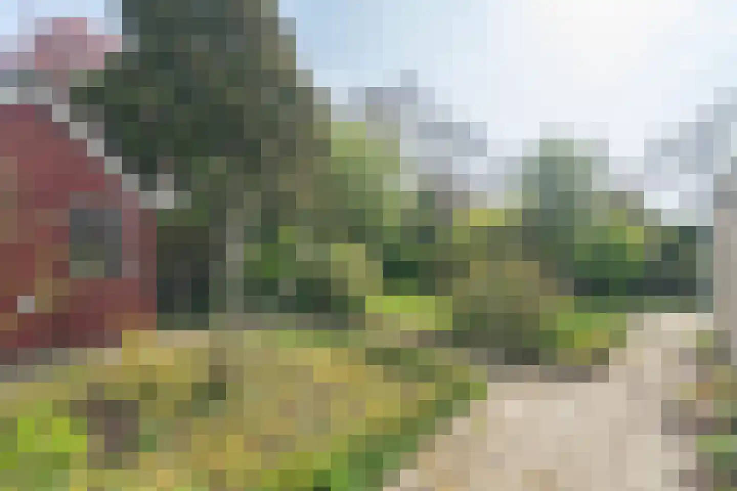 Braillestraat 7 Kruiningen thumbnail 50