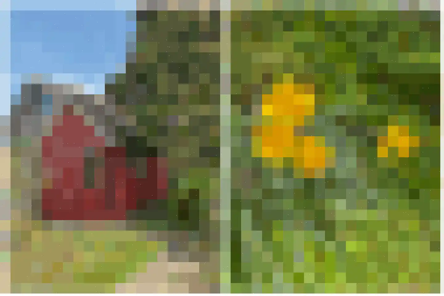 Braillestraat 7 Kruiningen thumbnail 51