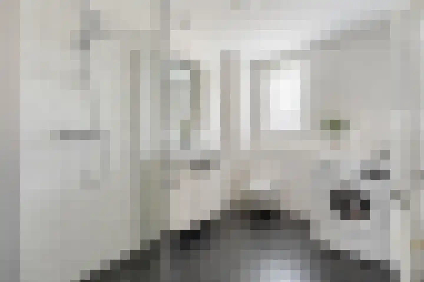 Braillestraat 7 Zwolle thumbnail 21