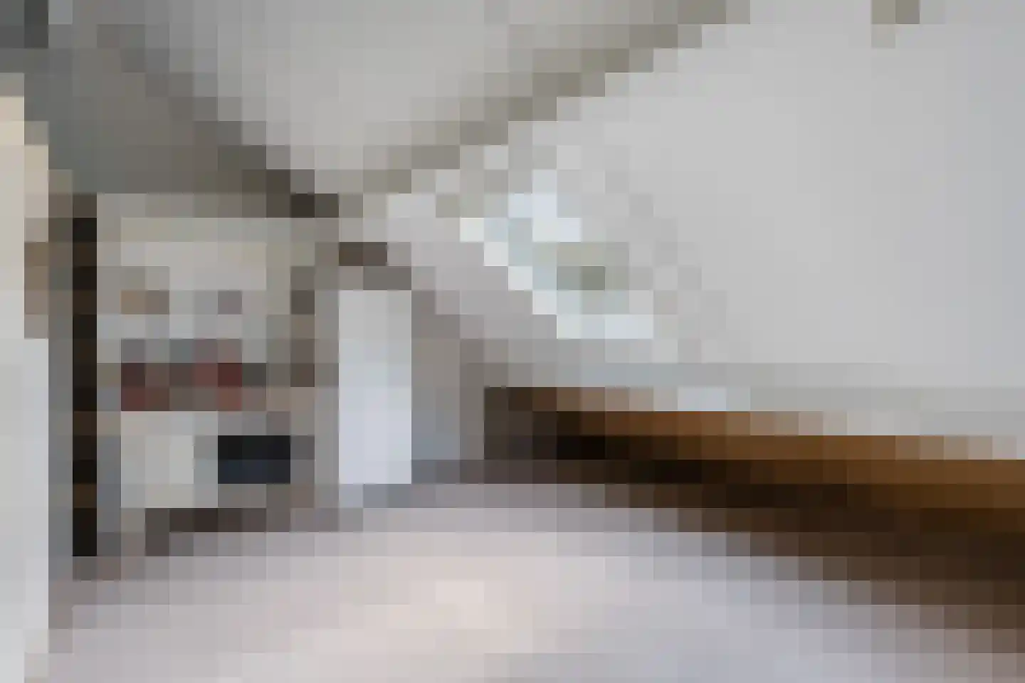 Braillestraat 7 Zwolle thumbnail 23