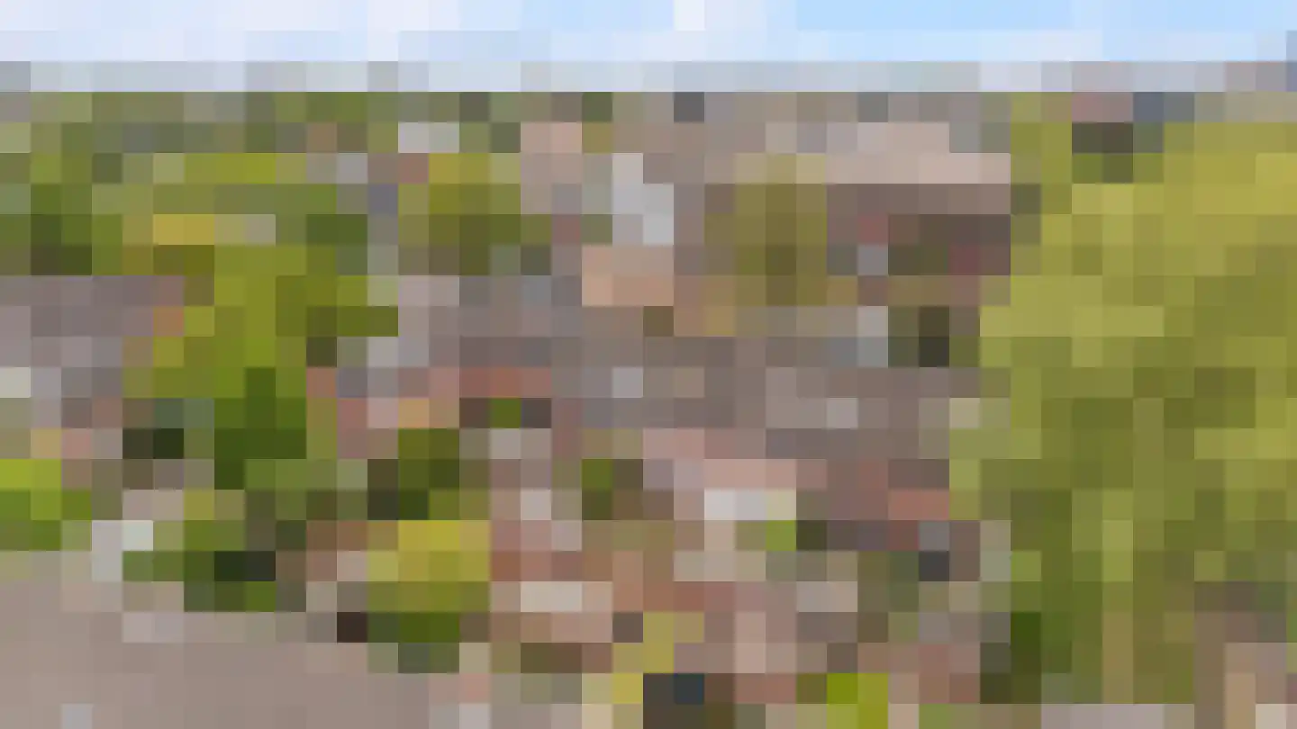 Braillestraat 7 Zwolle thumbnail 30