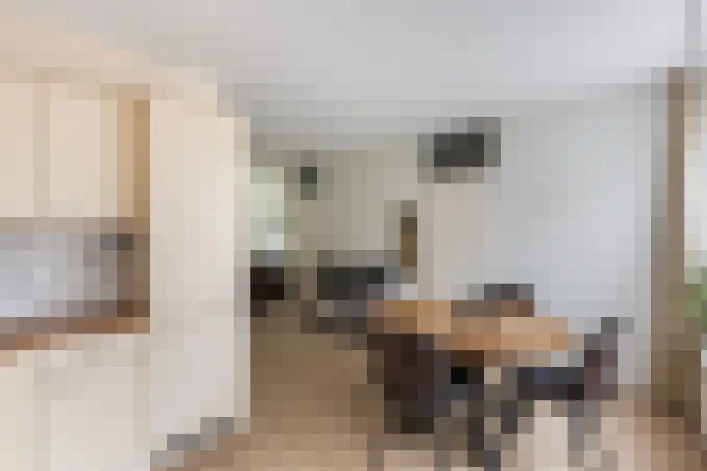 Braillestraat 7 Zwolle thumbnail 9