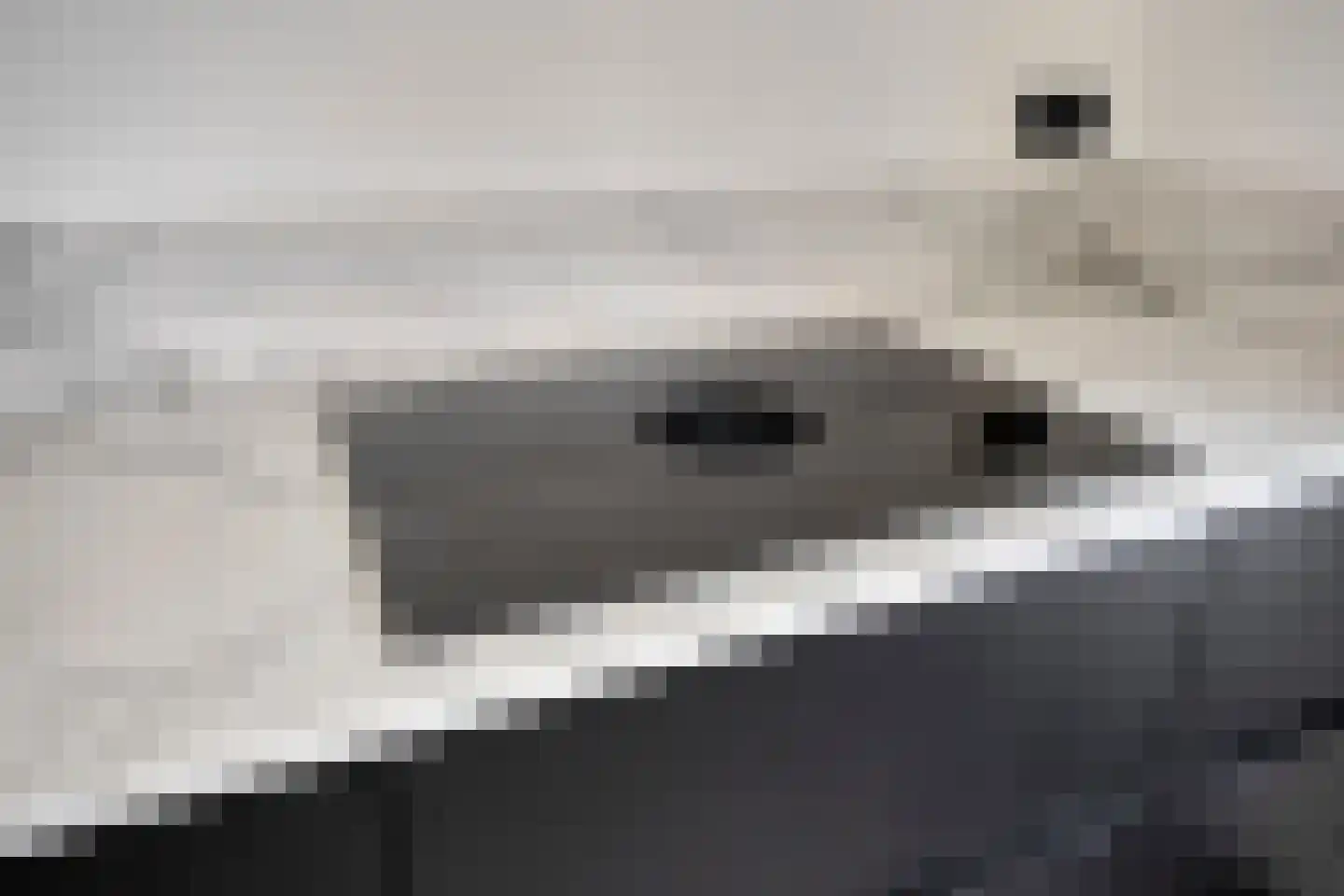 Braillestraat 9 Grave thumbnail 10