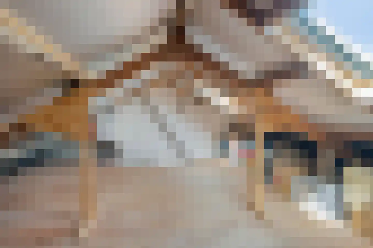 Braillestraat 9 Grave thumbnail 26