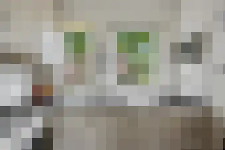 Brakelhof 34 Angeren thumbnail 14