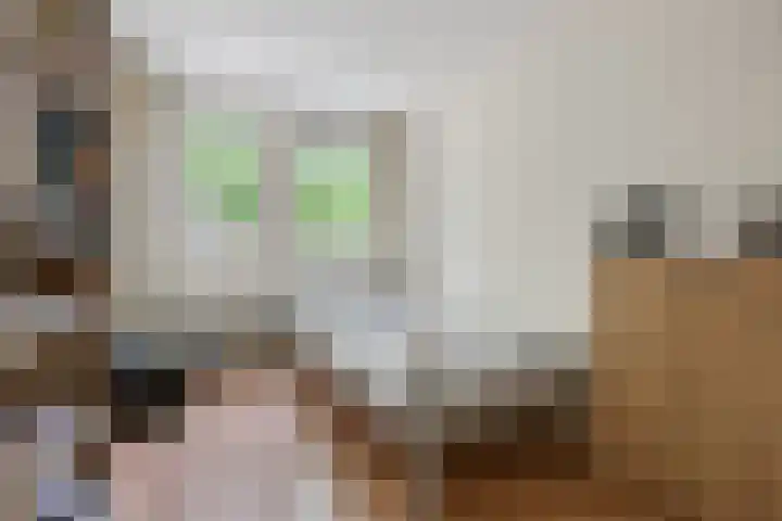 Brakelhof 34 Angeren thumbnail 21
