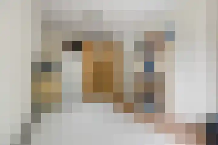 Brakelhof 34 Angeren thumbnail 22