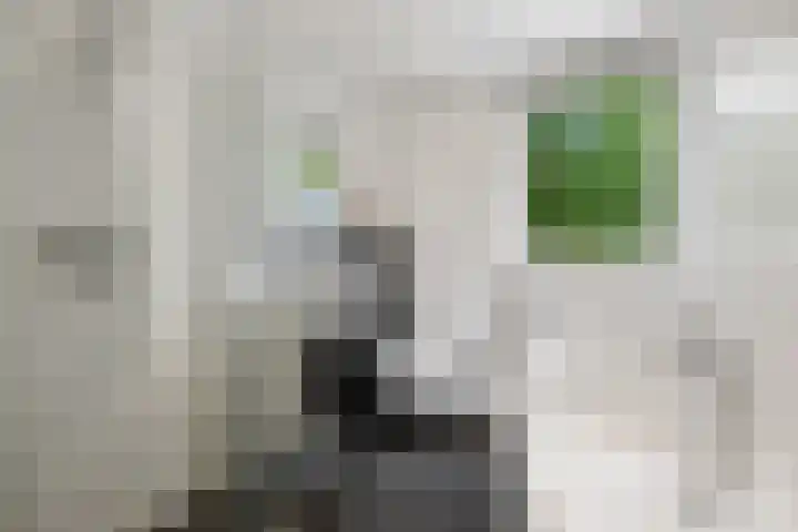 Brakelhof 34 Angeren thumbnail 23