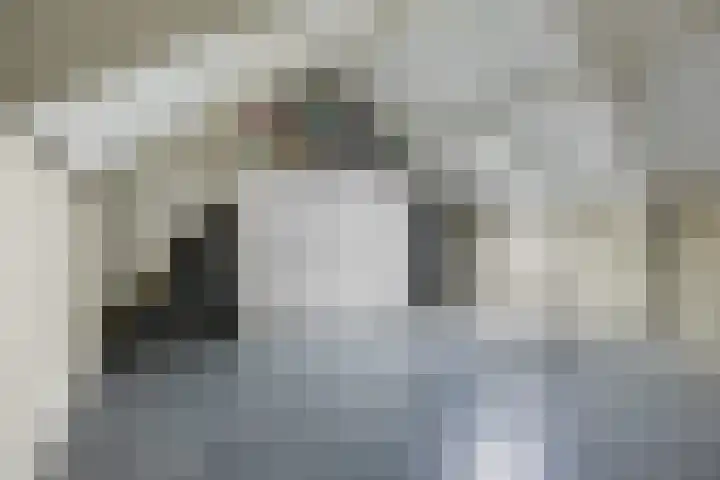 Brakelhof 34 Angeren thumbnail 28