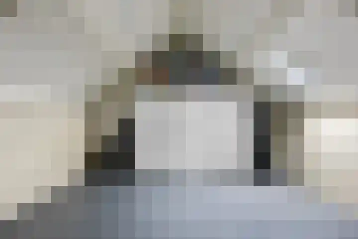 Brakelhof 34 Angeren thumbnail 29