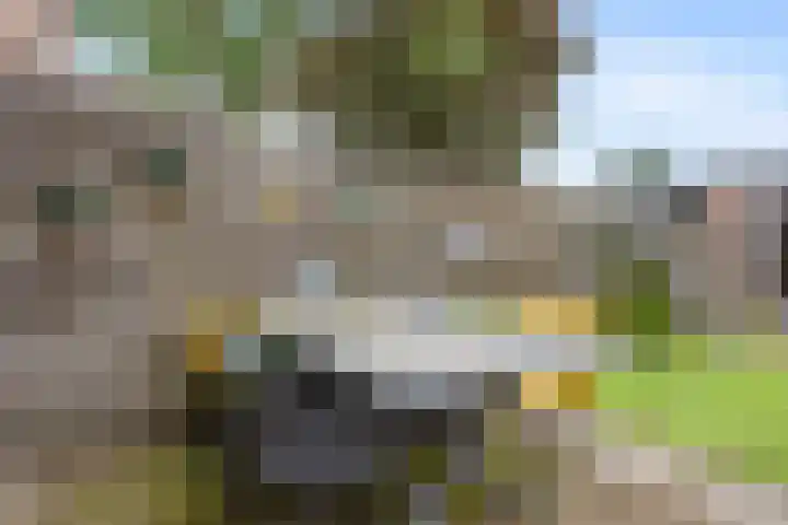 Brakelhof 34 Angeren thumbnail 32