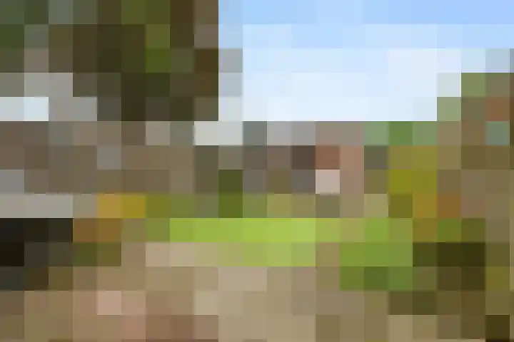 Brakelhof 34 Angeren thumbnail 33