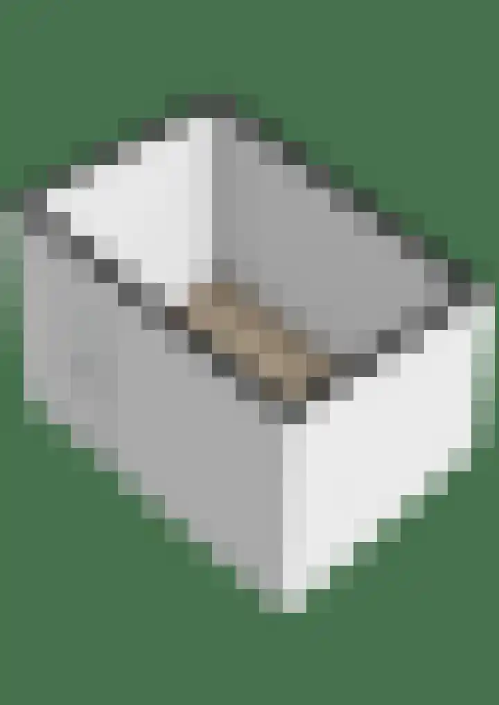 Brakelhof 34 Angeren thumbnail 42