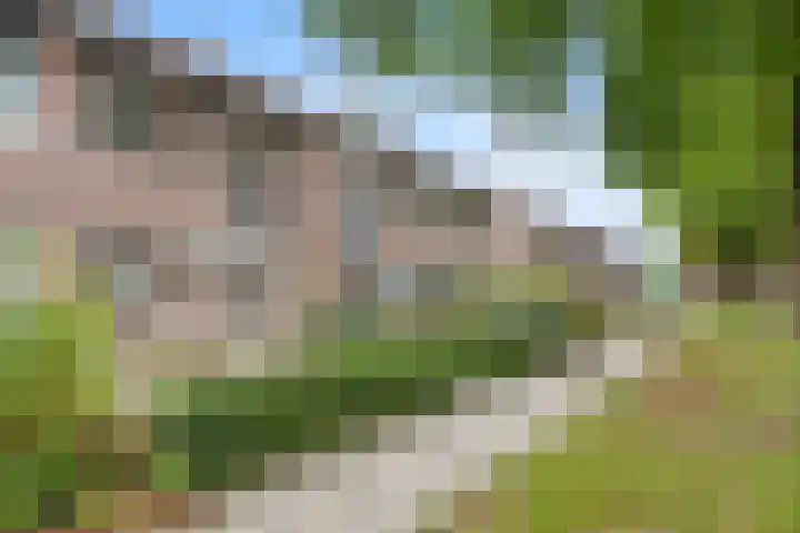 Brakelhof 34 Angeren thumbnail 5