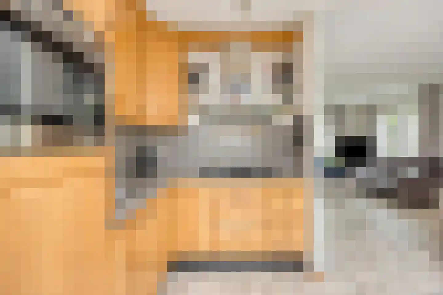 Brakels Eng 15 Oeffelt thumbnail 15