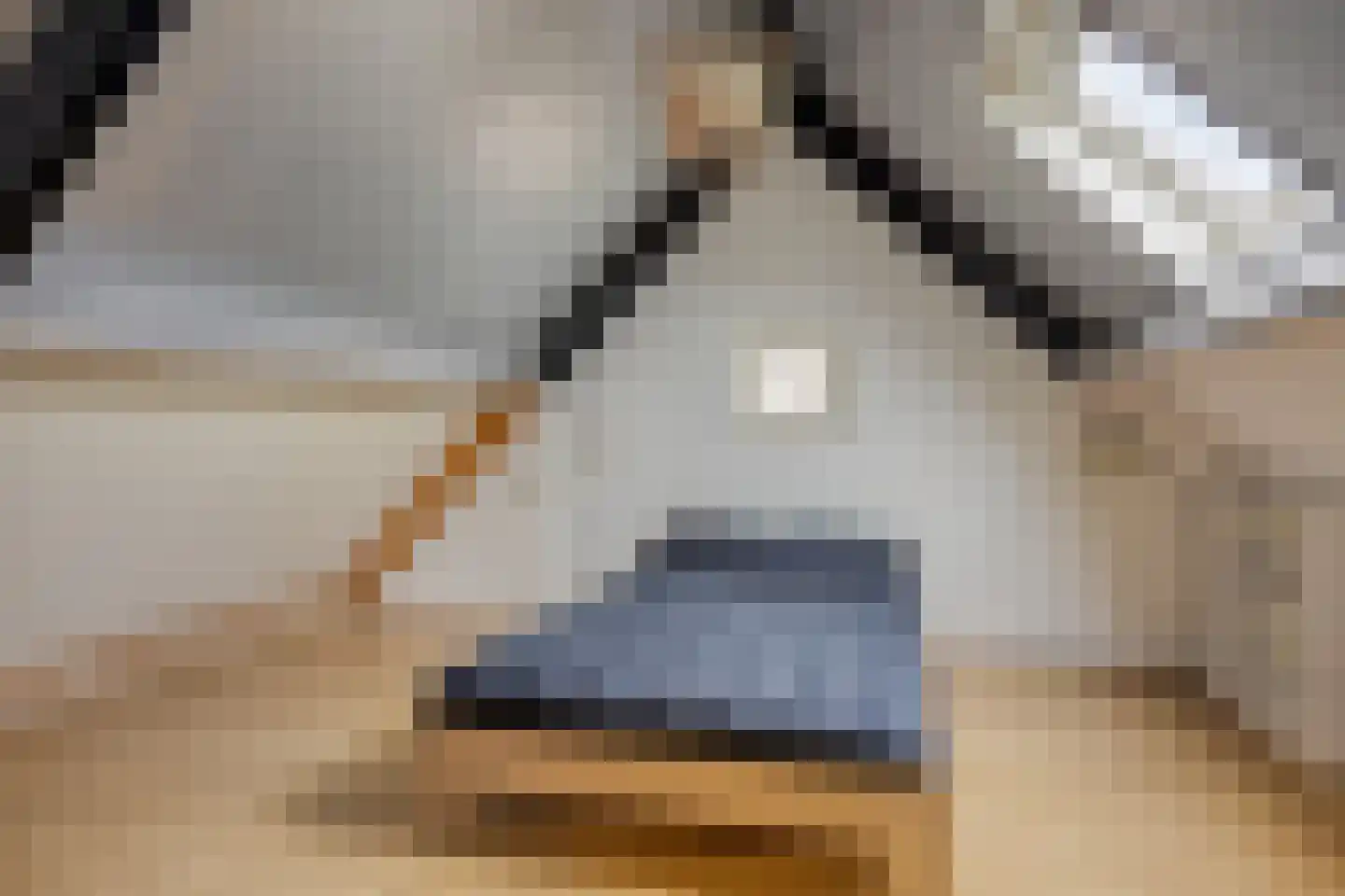 Brakels Eng 15 Oeffelt thumbnail 29
