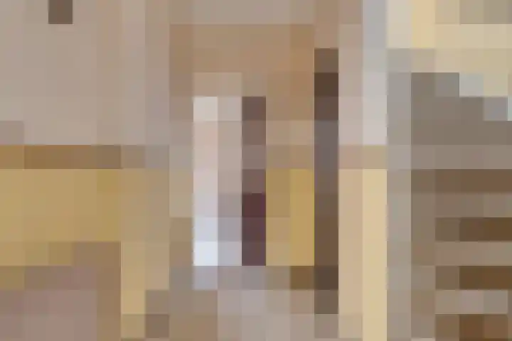 Brakelstraat 8 Oeffelt thumbnail 13