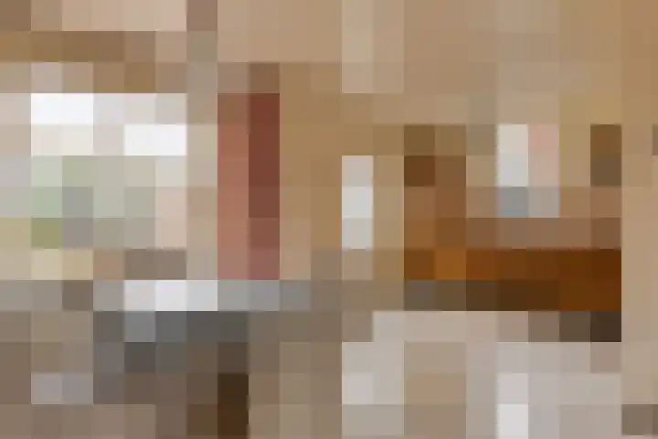 Brakelstraat 8 Oeffelt thumbnail 18