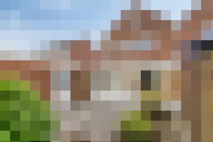 Brakelstraat 8 Oeffelt thumbnail 25