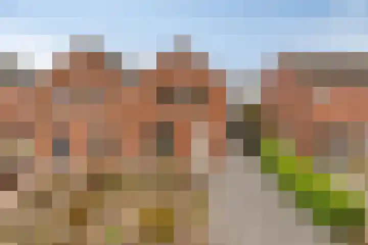 Brakelstraat 8 Oeffelt thumbnail 7