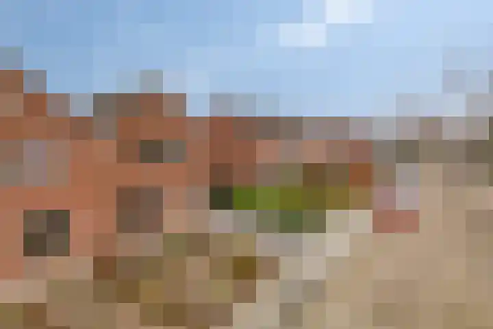 Brakelstraat 8 Oeffelt thumbnail 8