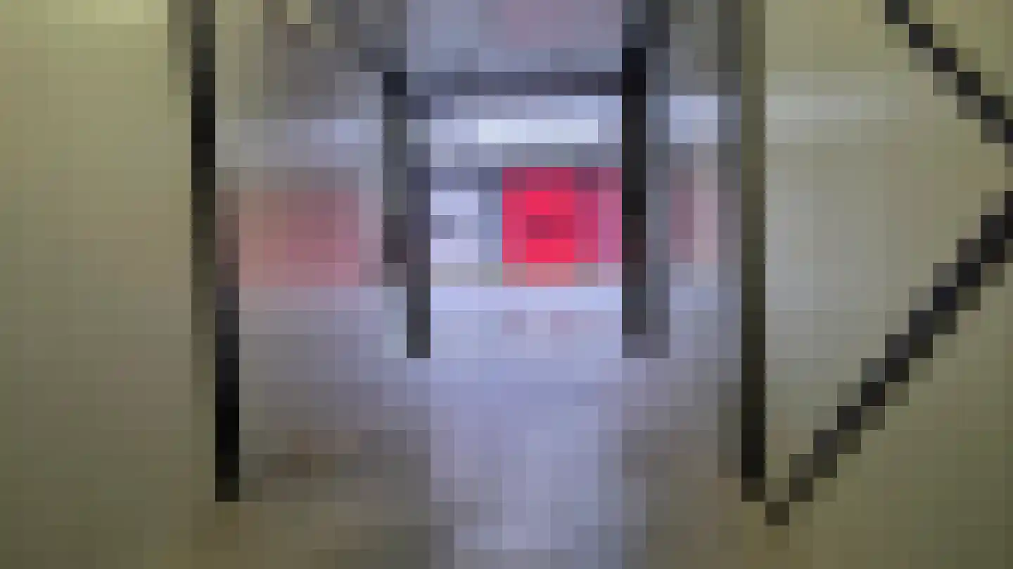 Braken 55 54 Obdam thumbnail 9