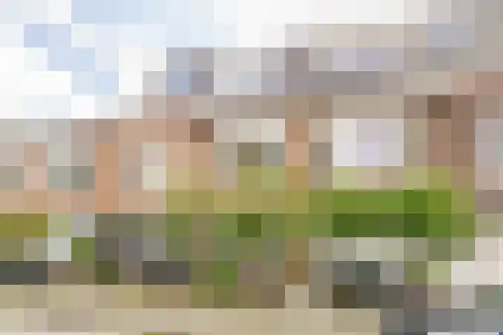 Brakenburghstraat 13 ZW Haarlem thumbnail 6