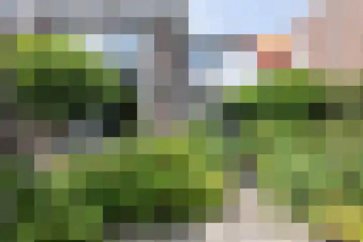 Brakenburghstraat 15 ZW Haarlem thumbnail 10