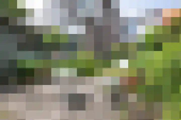 Brakenburghstraat 15 ZW Haarlem thumbnail 12