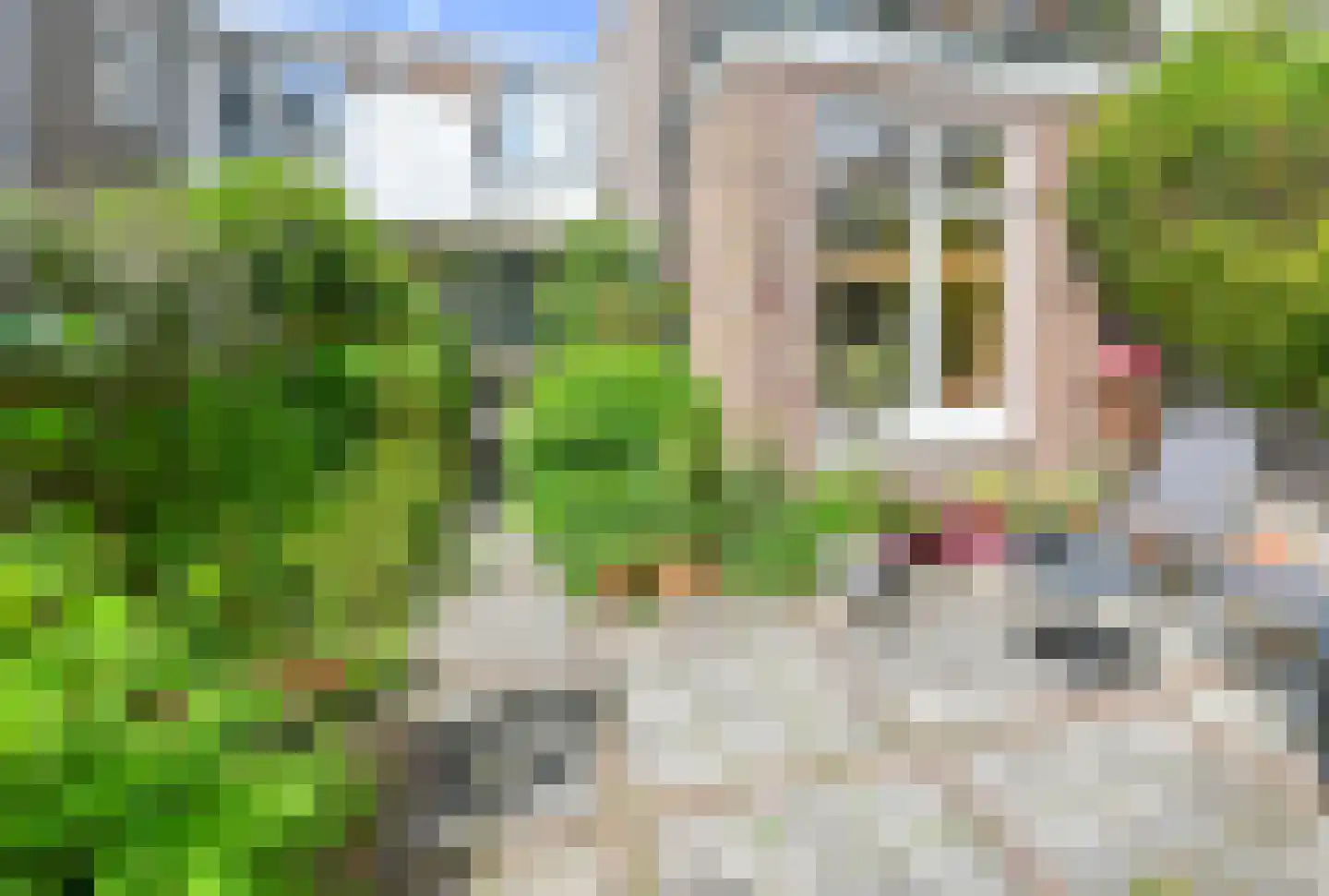 Brakenburghstraat 17 ZW Haarlem thumbnail 24