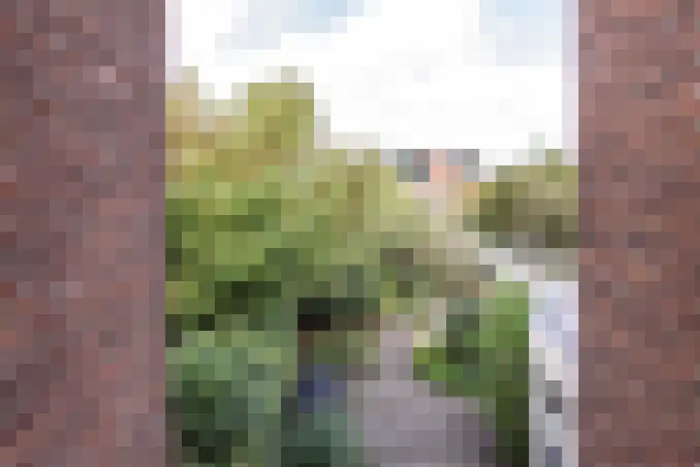 Brakenburghstraat 30 RD Haarlem thumbnail 12