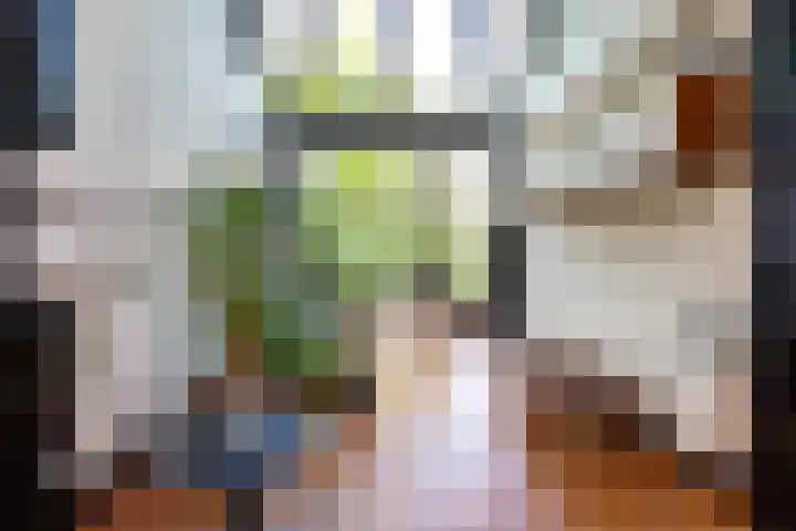 Brakenburghstraat 30 ZW Haarlem thumbnail 14