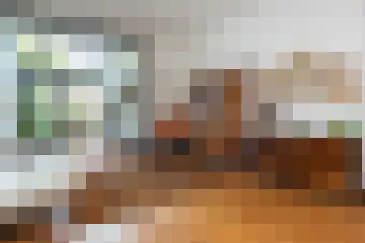 Brakenburghstraat 30 ZW Haarlem thumbnail 4