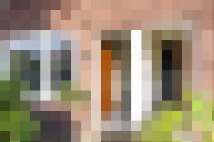 Brakenburghstraat 30 ZW Haarlem thumbnail 7
