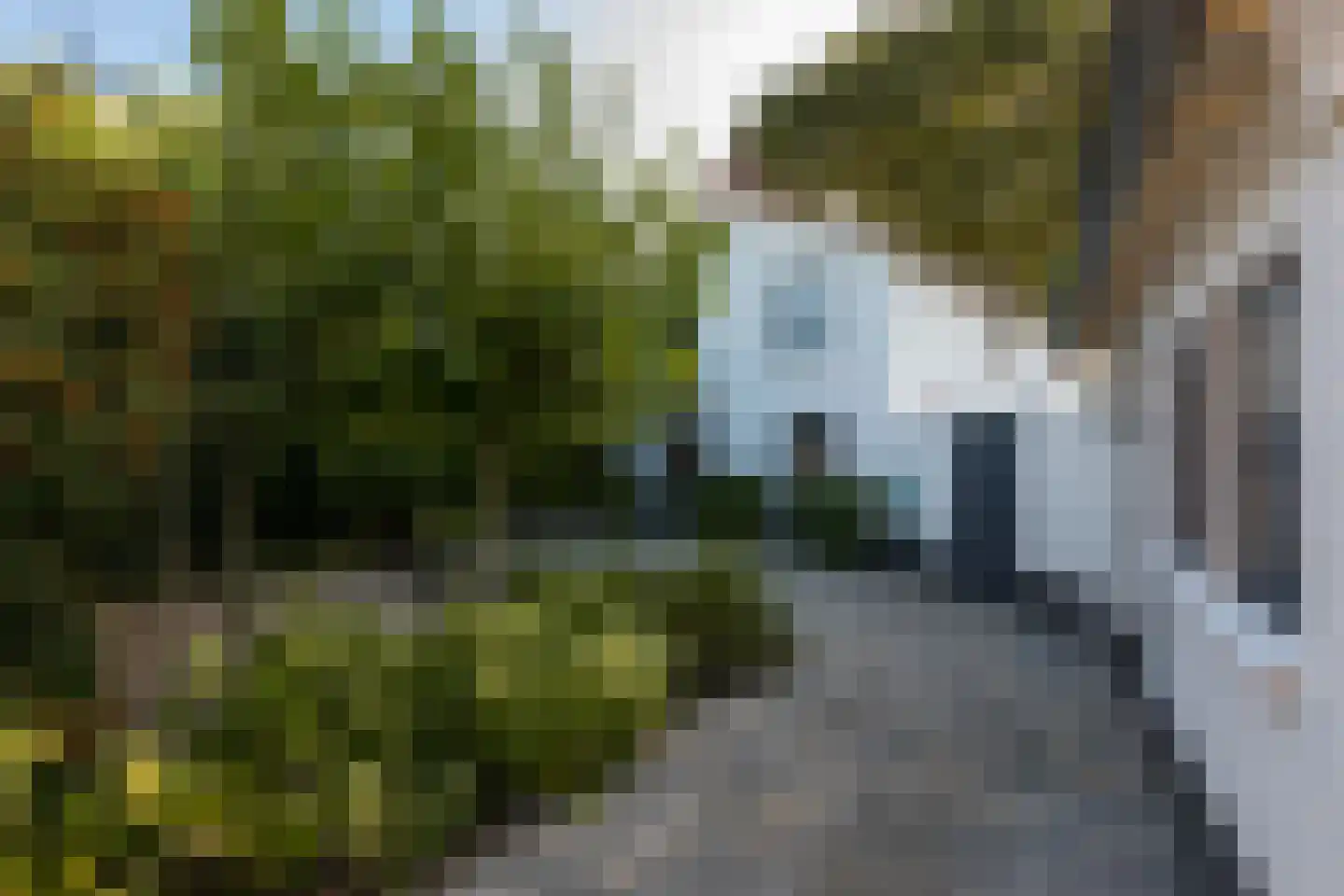 Brakenstraat 41 A Valkenswaard thumbnail 30