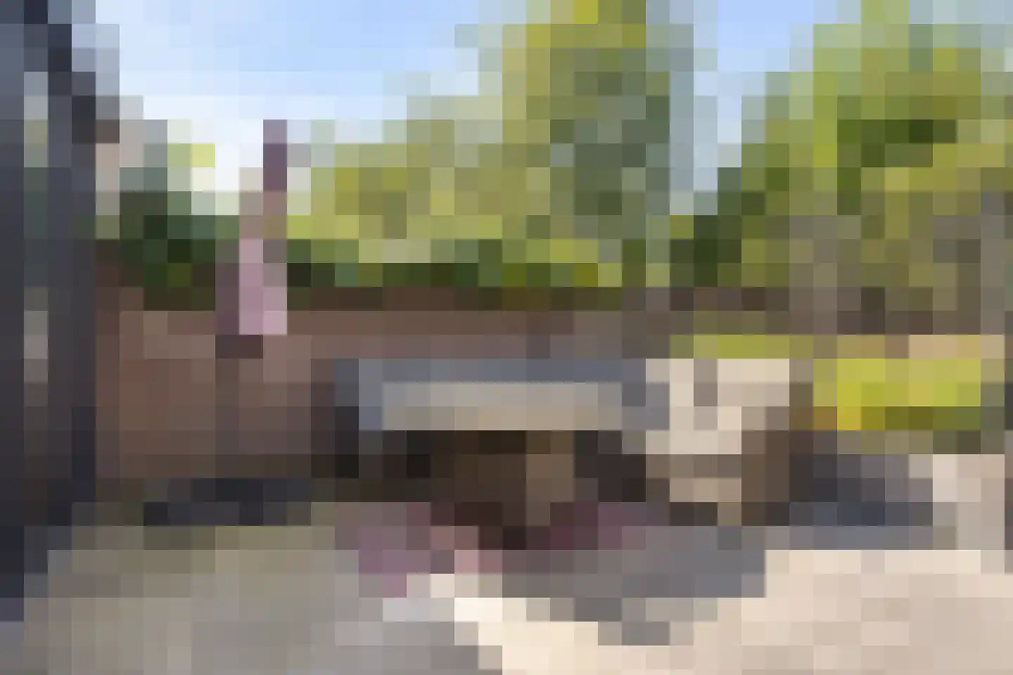 Brakenstraat 49 Valkenswaard thumbnail 30