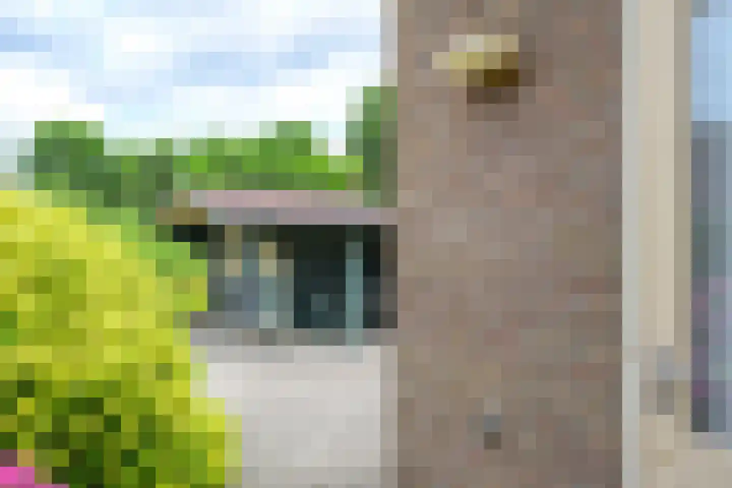 Brakenweide 3 Midwoud thumbnail 33