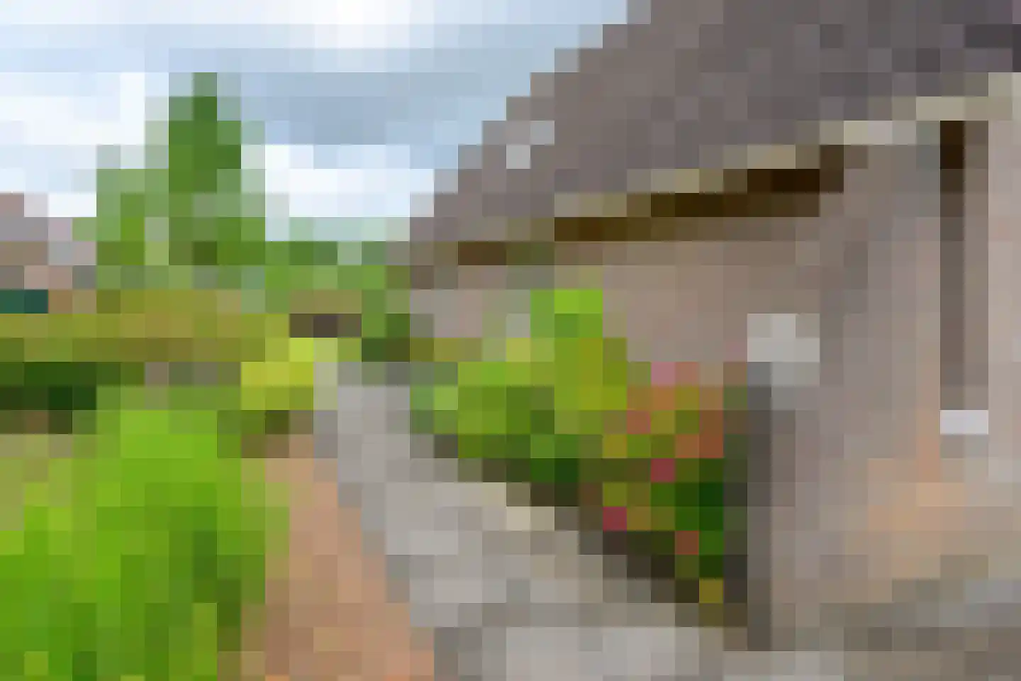 Brakenweide 3 Midwoud thumbnail 37