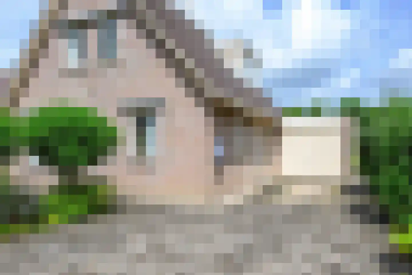 Brakenweide 3 Midwoud thumbnail 39