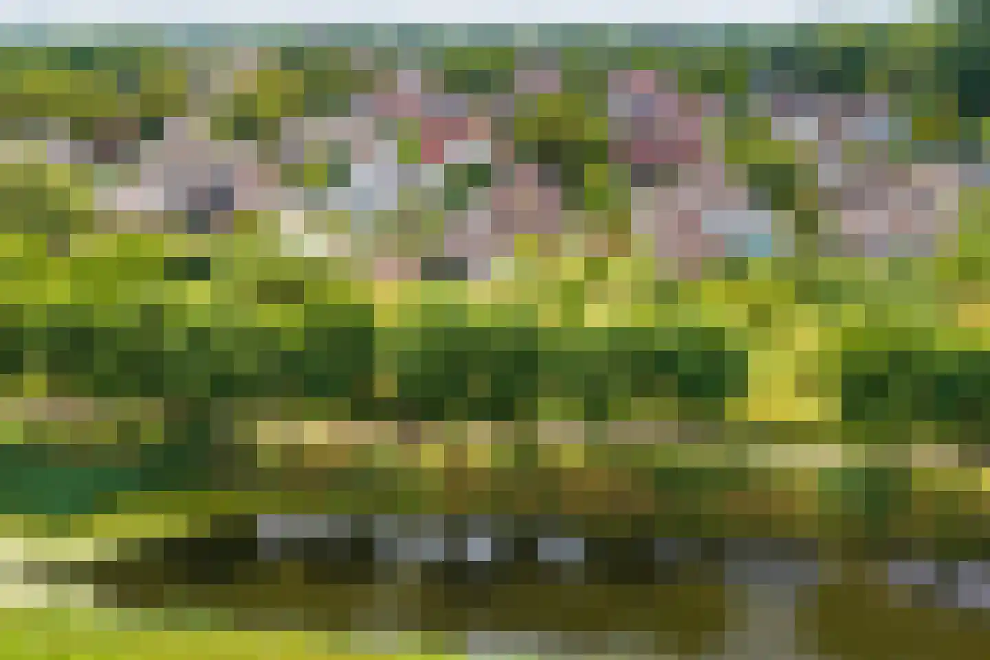 Brakenweide 3 Midwoud thumbnail 4