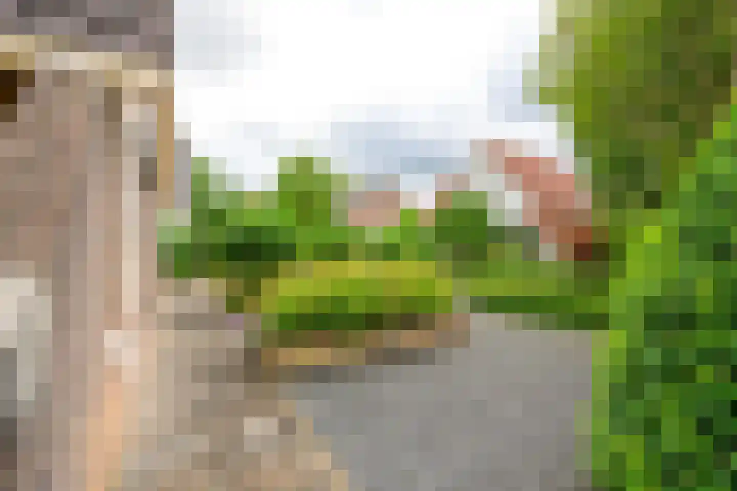 Brakenweide 3 Midwoud thumbnail 40