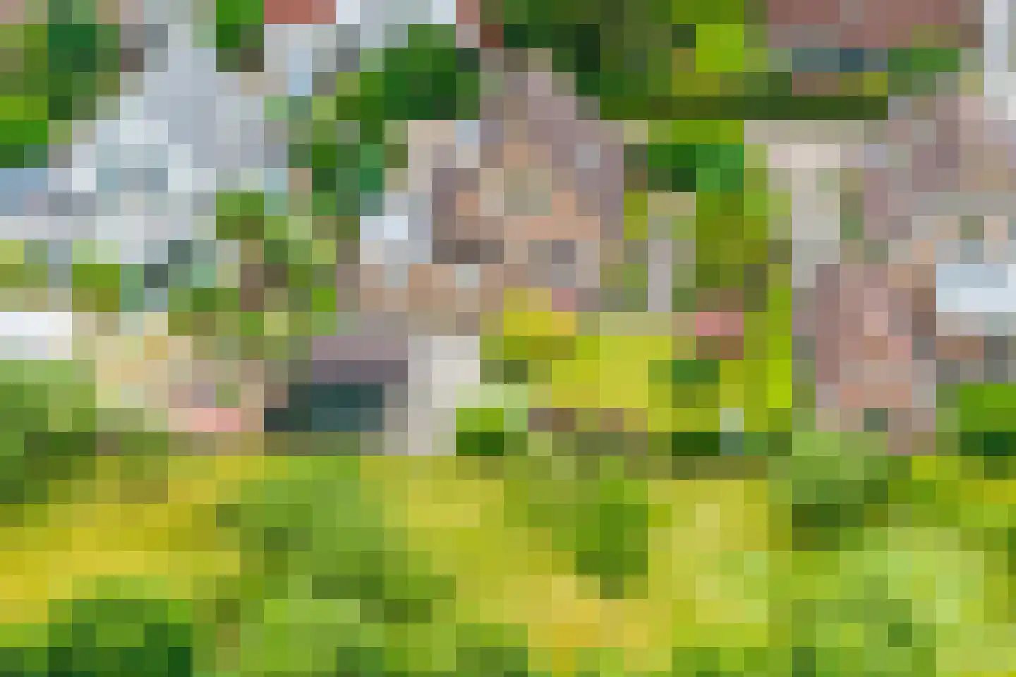Brakenweide 3 Midwoud thumbnail 44