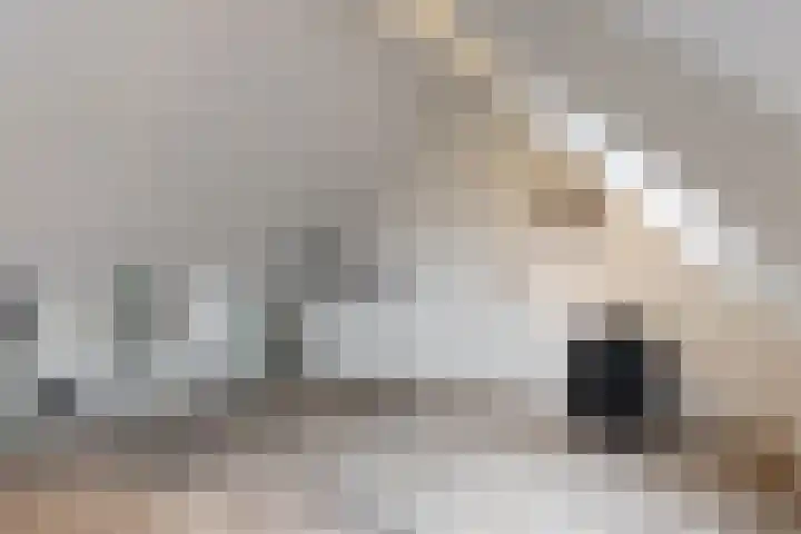 Brakenweide 6 Midwoud thumbnail 19