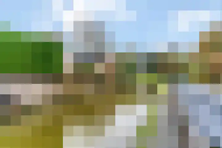 Brakenweide 6 Midwoud thumbnail 22