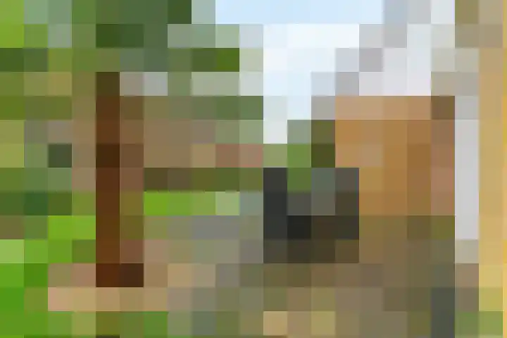 Brakenweide 6 Midwoud thumbnail 23