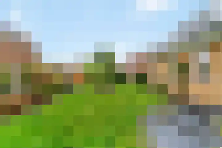 Brakenweide 6 Midwoud thumbnail 24