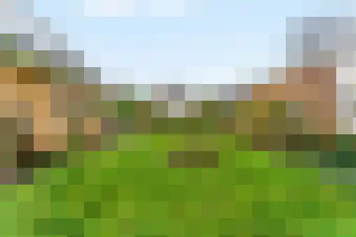 Brakenweide 6 Midwoud thumbnail 25