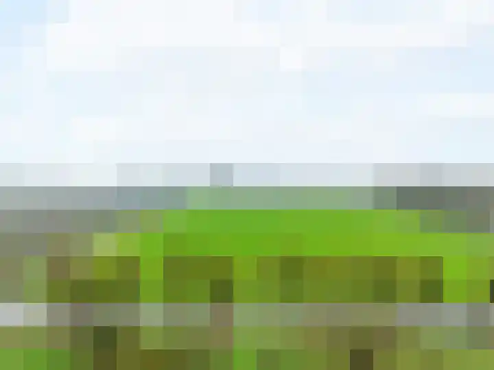 Brakenweide 6 Midwoud thumbnail 26