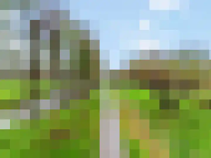 Brakenweide 6 Midwoud thumbnail 27